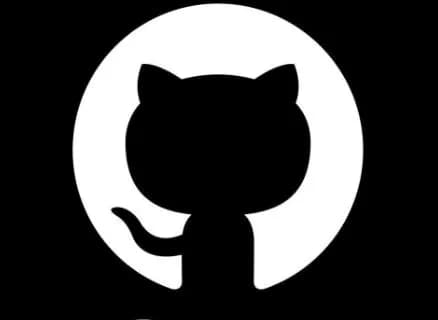 More Projects on GitHub